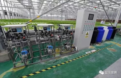 新型植物工廠 生物科技驅動的未來糧食解決方案